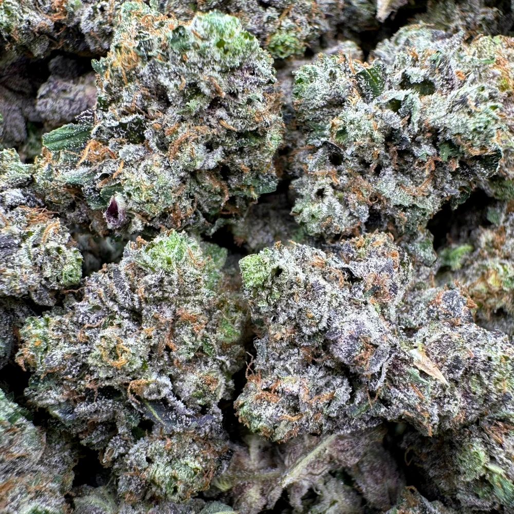 LSO East Van Rockstar Mediums — buy weed online in Canada from The Herb Centre