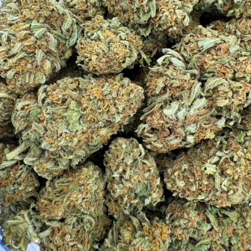 AK-47 (AA+)