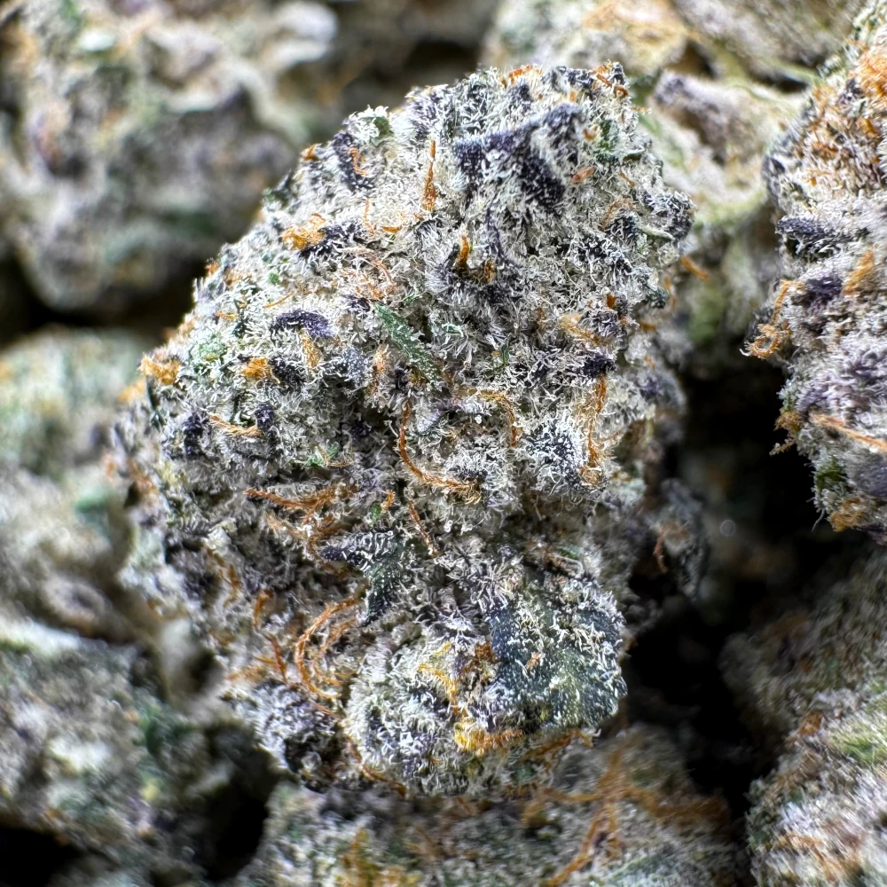 BC Blueberry Popcorn
