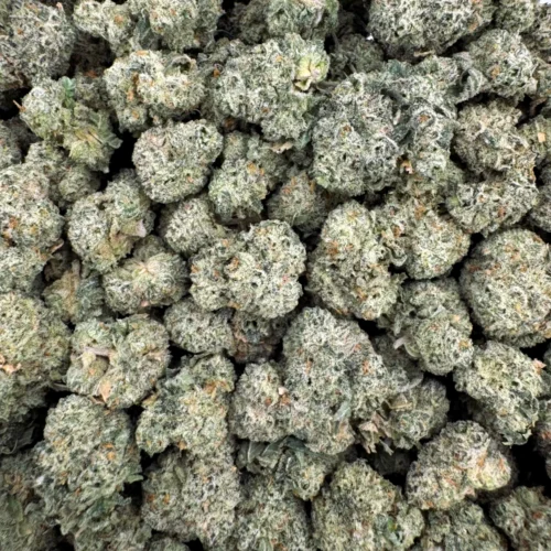 Donkey Butter Popcorn