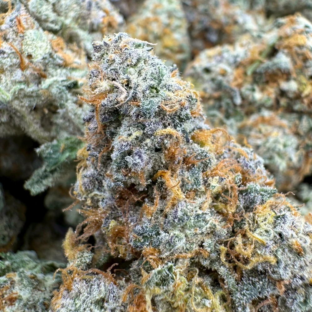 Girl Scout Cookies