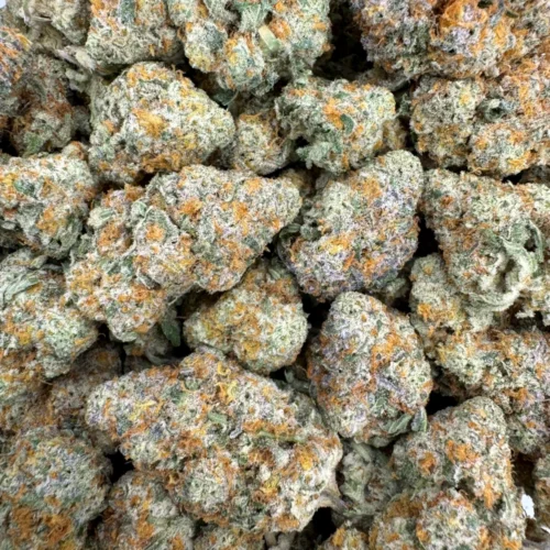 Girl Scout Cookies