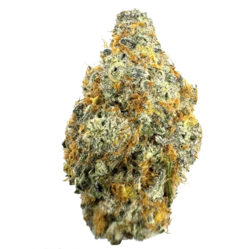 Girl Scout Cookies