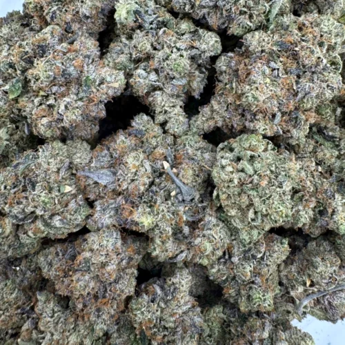 Godfather OG