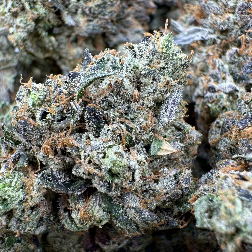 Godfather OG