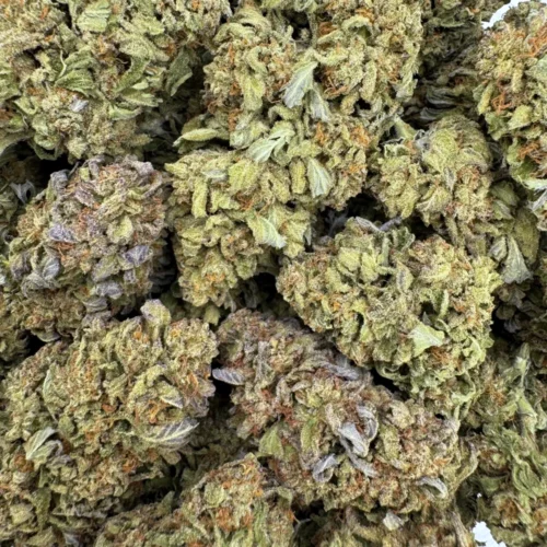 Lilac Diesel (AA+)