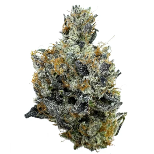 LSO Death Bubba