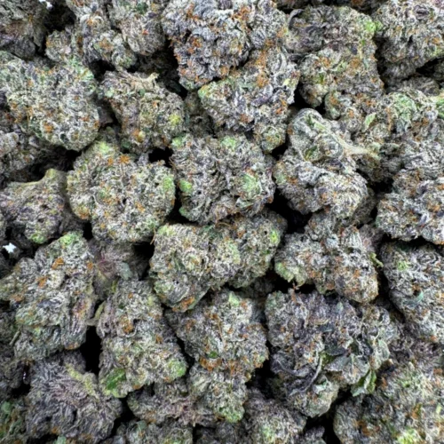 LSO Death Bubba Mediums