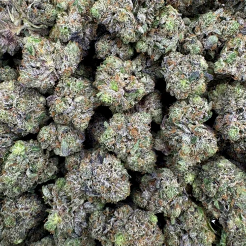 LSO East Van Rockstar Mediums