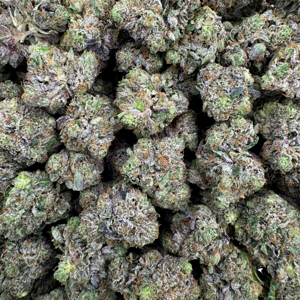 LSO East Van Rockstar Mediums