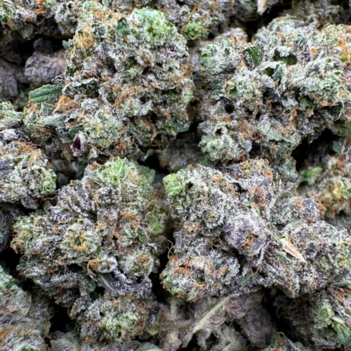 LSO East Van Rockstar Mediums