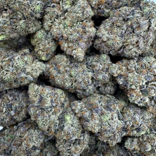 LSO Icky Sticky Pink