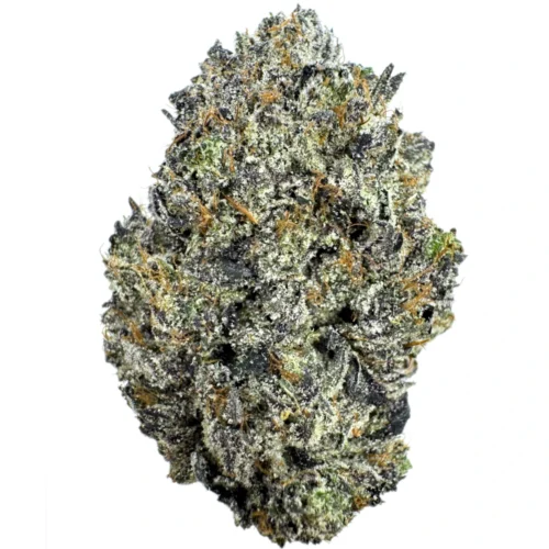 LSO Icky Sticky Pink