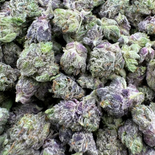 LSO Pinkman Goo Micros