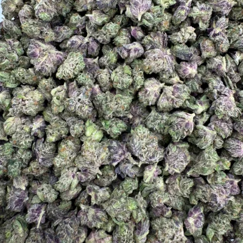 LSO Pinkman Goo Micros
