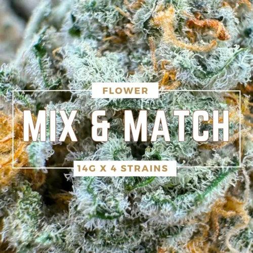 Mix and Match (2 Ounces)
