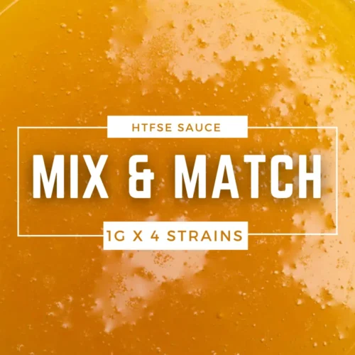Mix N’ Match – HTFSE Sauce (Sampler Pack)