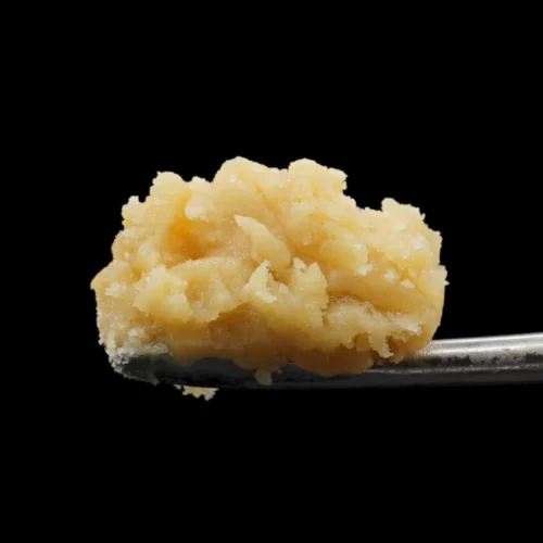 Pink Starburst Live Hash Rosin