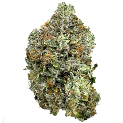 Pre 98 Bubba (Med/Lrg)