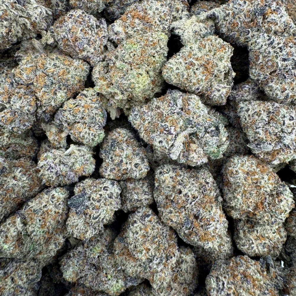 Purple Lotus
