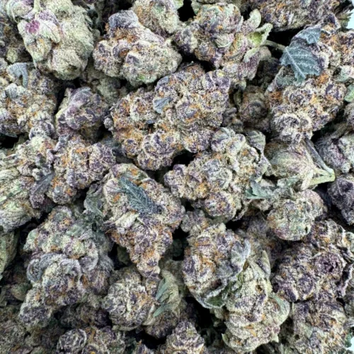 Tropicana Cookies