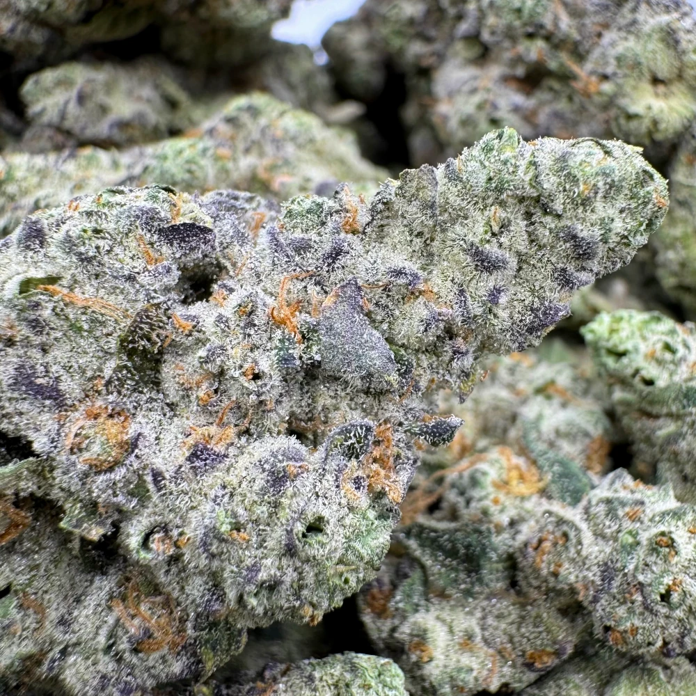 White Widow