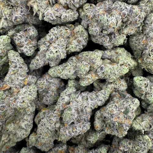 White Widow
